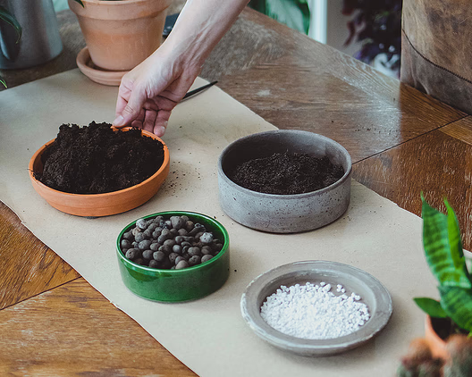 Plantekurs med Arctic Gardener