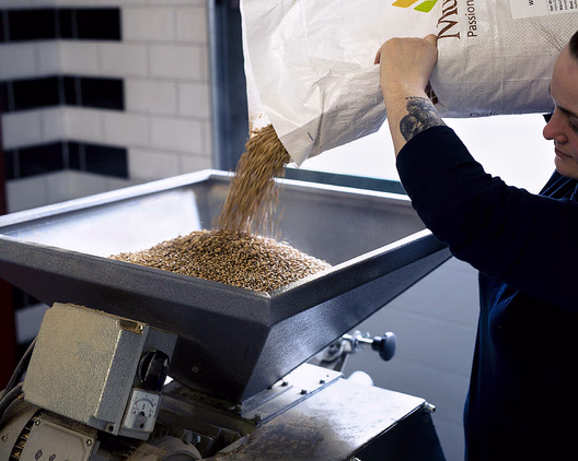 Ølbryggerkurs for to