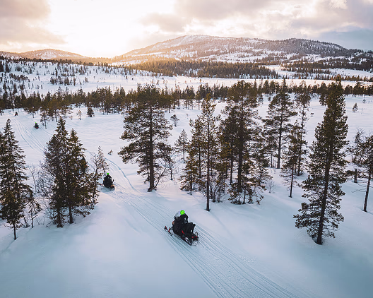 Snøscootersafari heldag