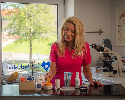 Hundekurs med Trude Mostue