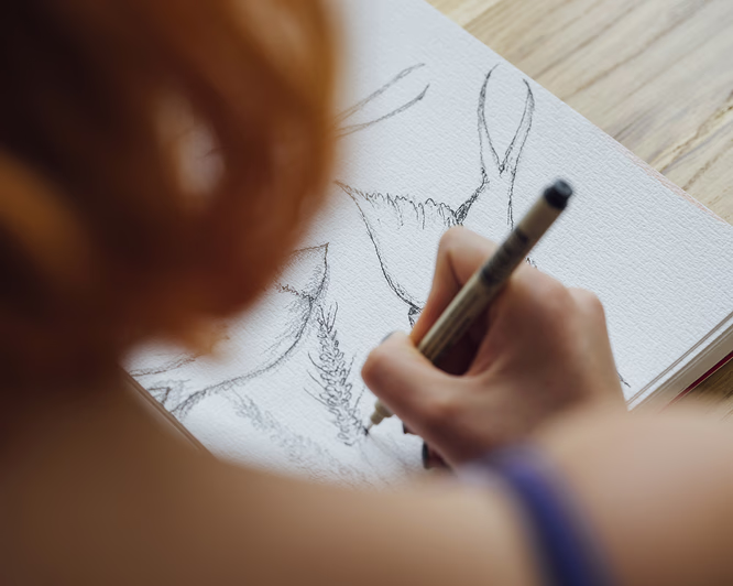 Interaktivt tegnekurs