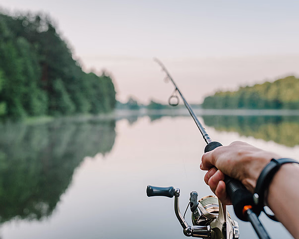 Laksefiske med guide