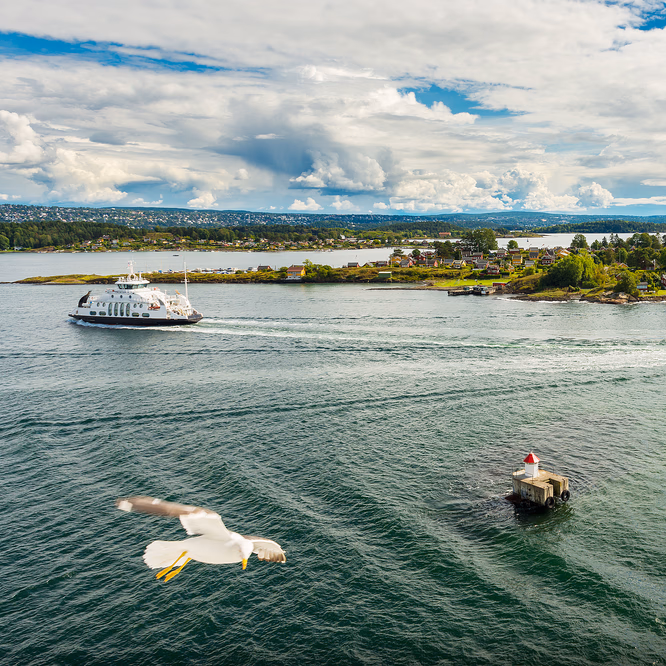 Malmøya hiking experience - image 4