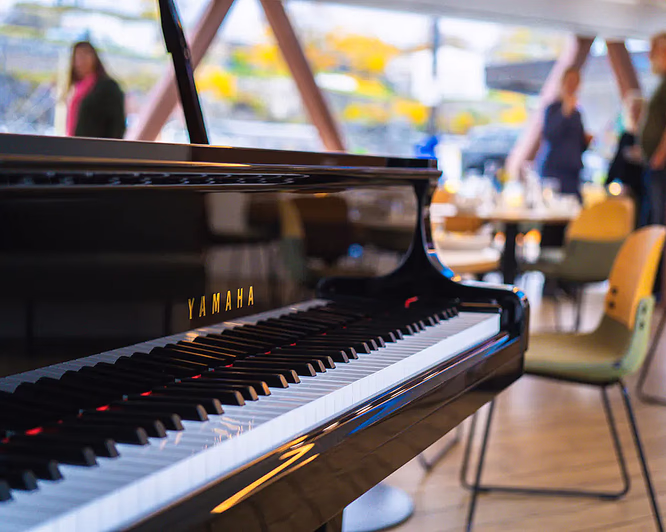 Afternoon tea cruise