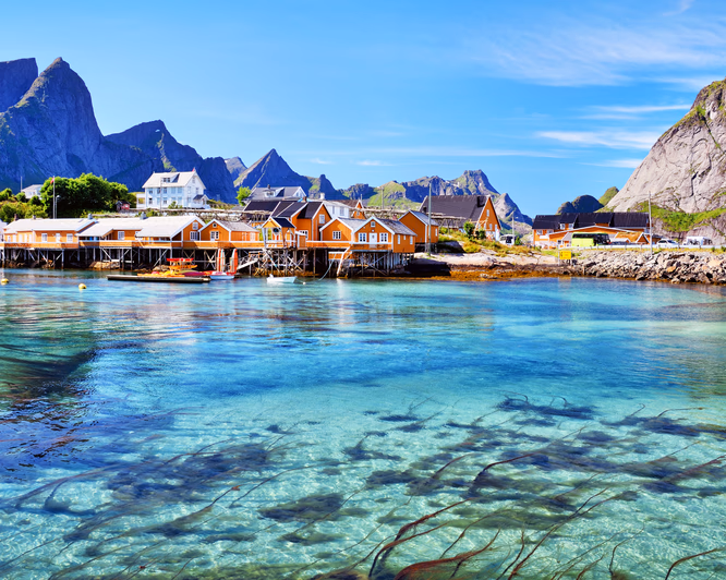 Snorkling i Lofoten - image 4