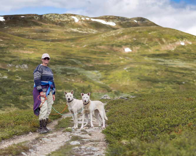 Husky hiking