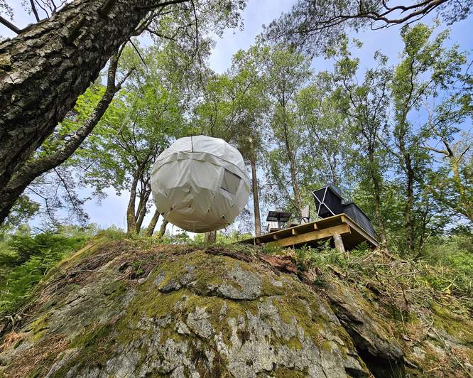 Hjelmeland Fjord Cocoon