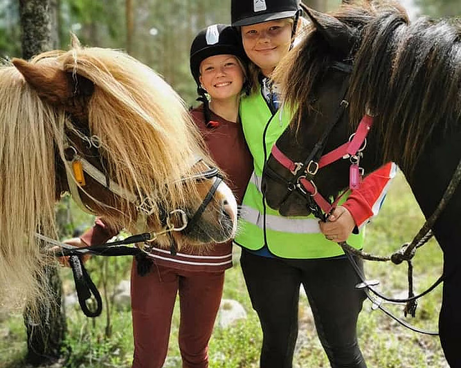 Halvdagstur på islandshest