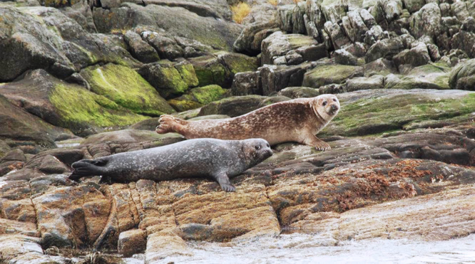 Nordlysweekend for to