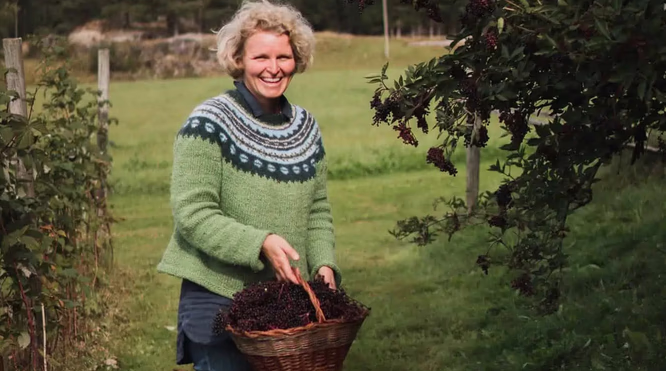 Hylleblomstsmaking med omvisning