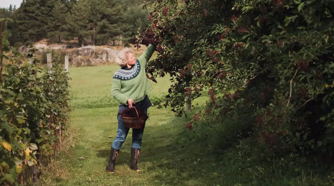 Hylleblomstsmaking med omvisning