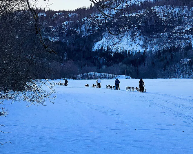 Herregårdsopphold og hundekjøring