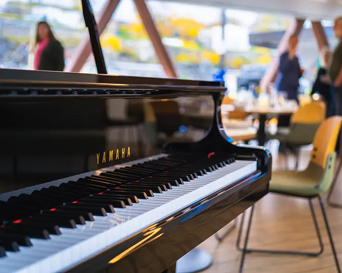 Afternoon tea cruise