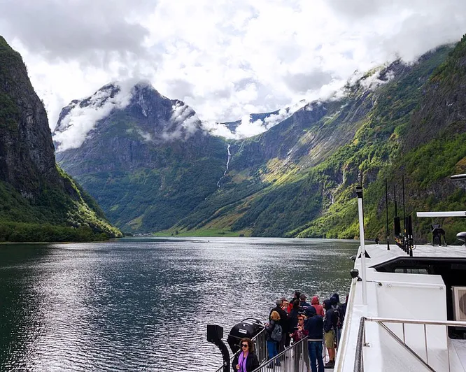 Guidet fjordtur med cruise