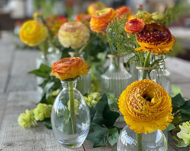 Kurs i blomsterdyrking