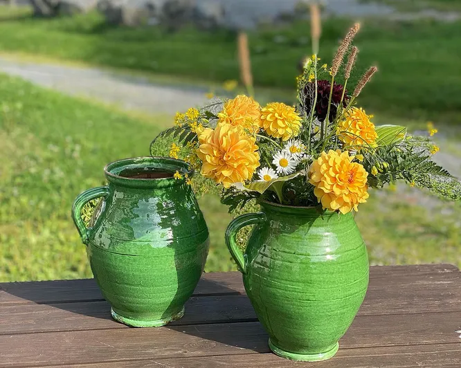 Kurs i blomsterdyrking