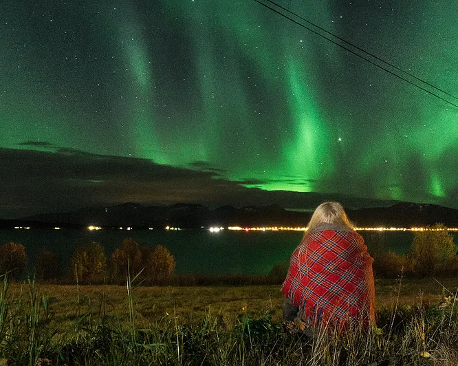 Reinsdyrsafari med sameleir og middag