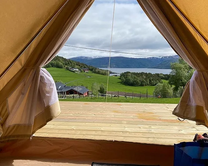 Glamping & alpakkavandring