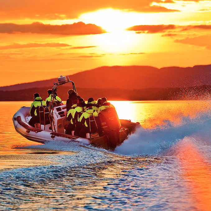 Lysefjorden RIB Safari