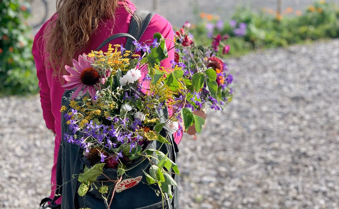 Sankekurs av urter og spiselige blomster
