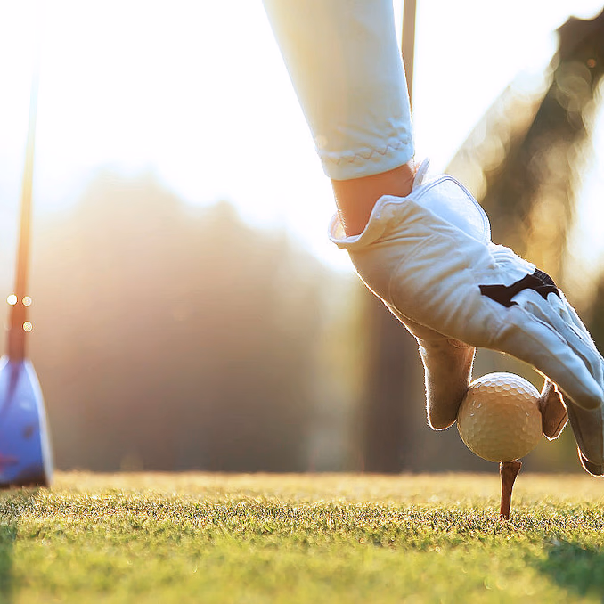 Golfrunde med proff