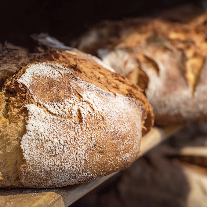 Surdeigsbakekurs med Margit Vea