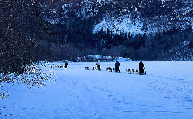 Herregårdsopphold og hundekjøring