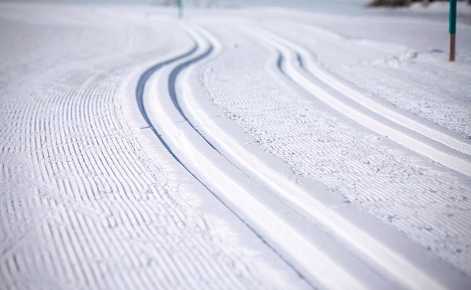 Herregårdsopphold og hundekjøring