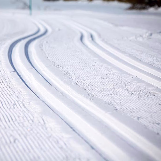 Herregårdsopphold og hundekjøring