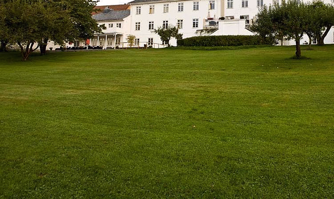 Herregårdsopphold og alpakkavandring