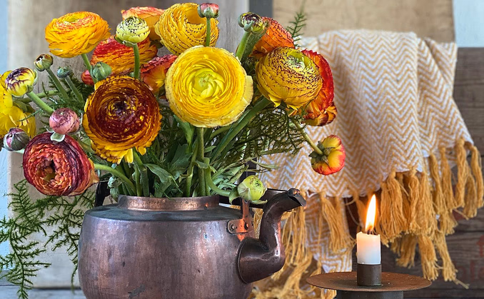 Lær å dyrke blomster hjemme
