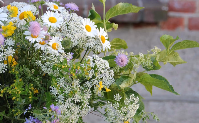 Lær å dyrke blomster hjemme