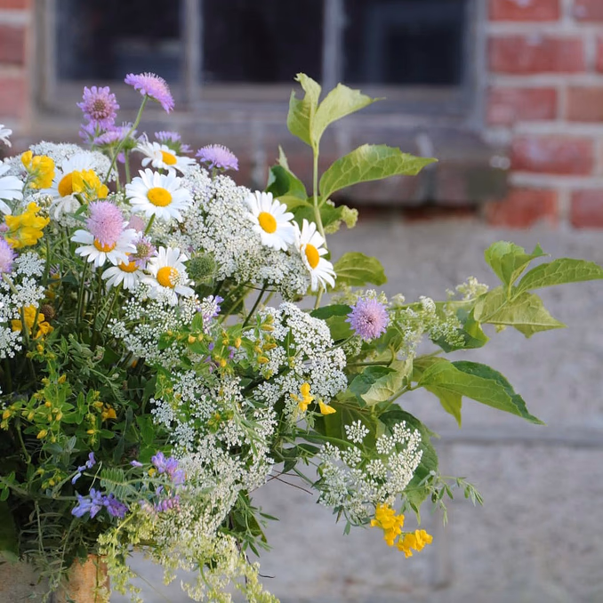 Lær å dyrke blomster hjemme