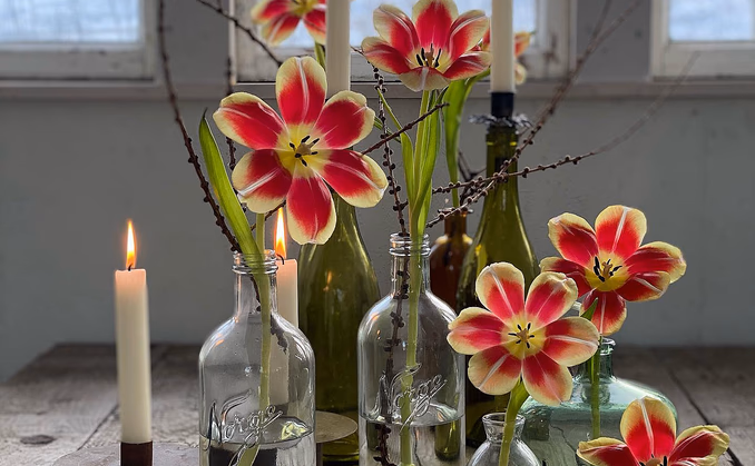 Lær å dyrke blomster hjemme