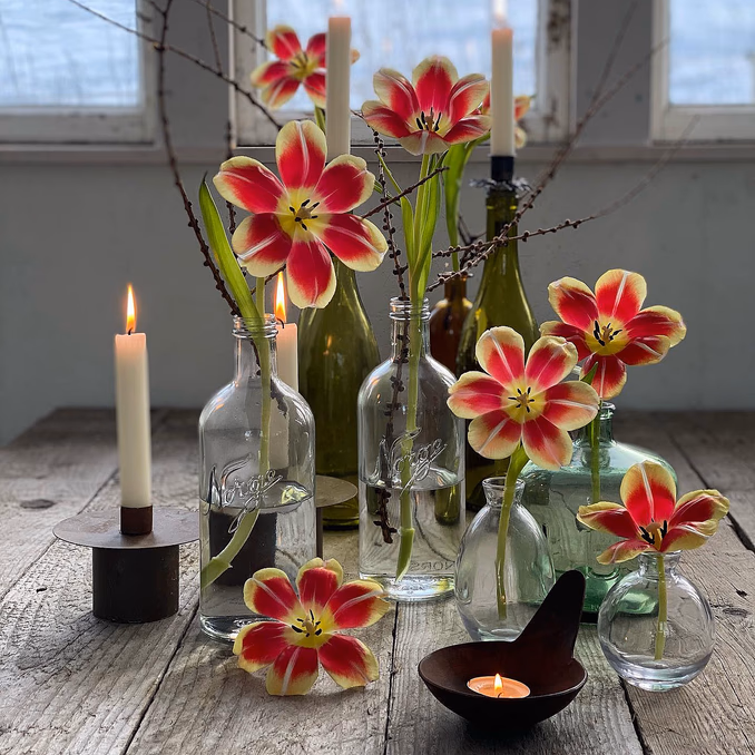 Lær å dyrke blomster hjemme