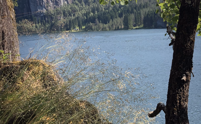 Historisk smaksvandring ved Osterfjorden