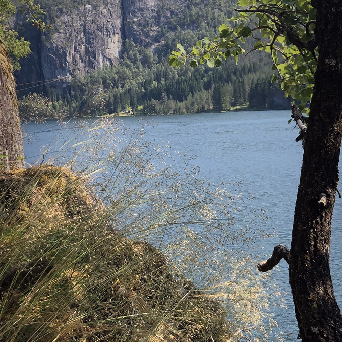 Historisk smaksvandring ved Osterfjorden