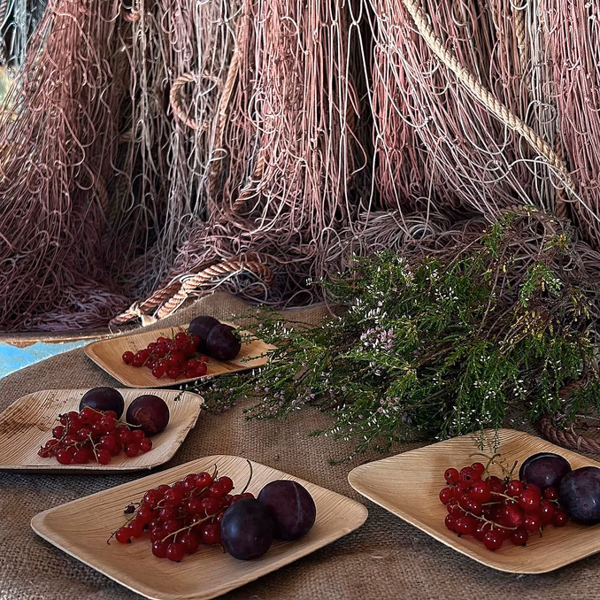 Historisk smaksvandring ved Osterfjorden