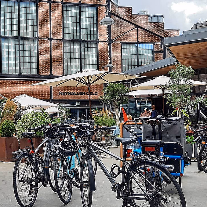 Oslo el-bike panorama tour