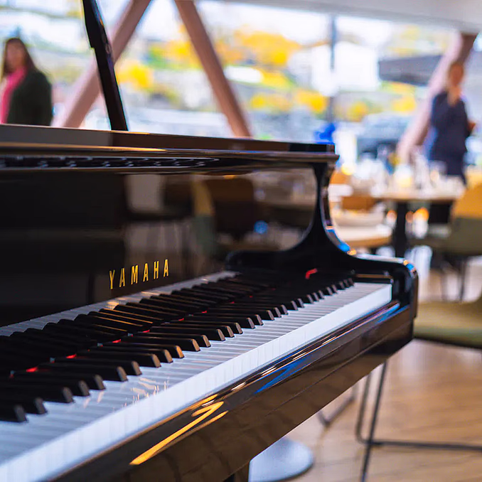 Afternoon tea cruise