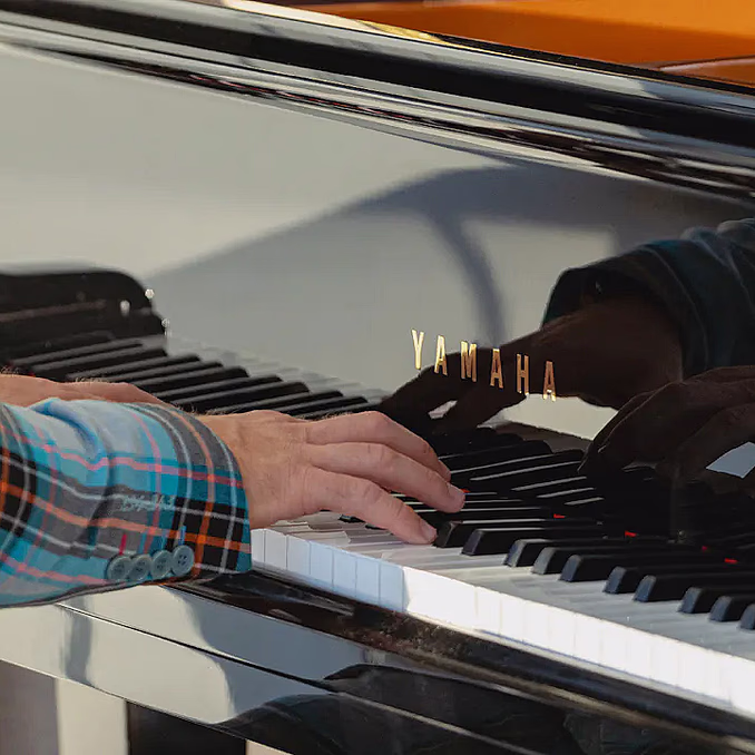 Afternoon tea cruise