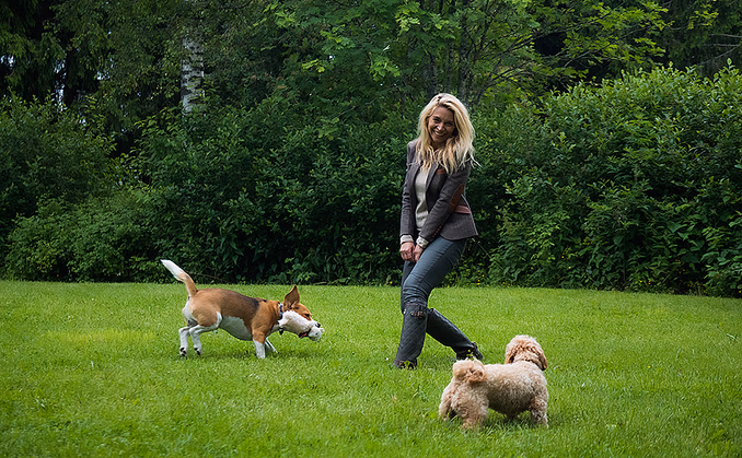 Hundekurs med Trude Mostue
