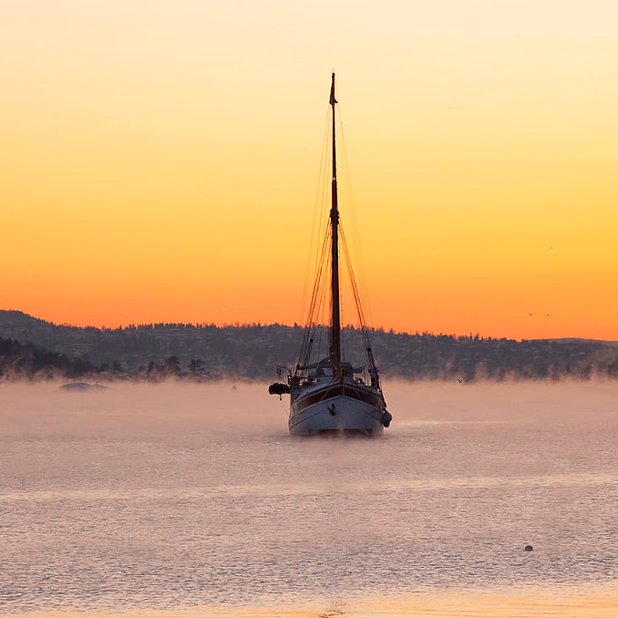 Vintercruise