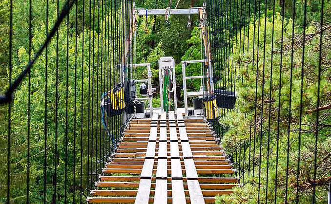Bungy Bridge Walk