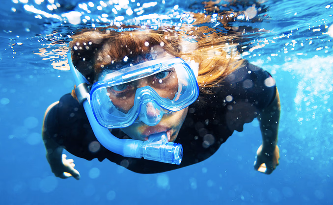 Snorkling i Lofoten