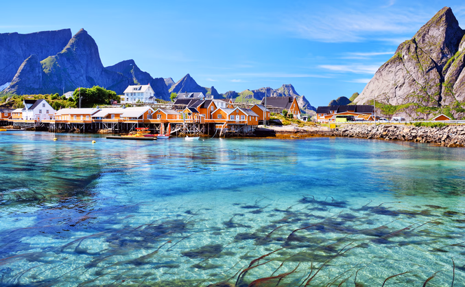 Snorkling i Lofoten