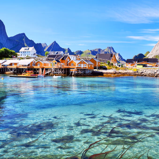 Snorkling i Lofoten