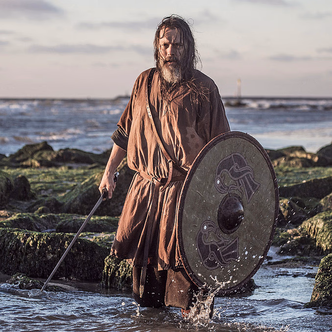 The Viking Planet