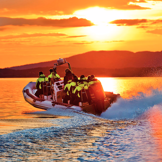 Lysefjorden RIB Safari