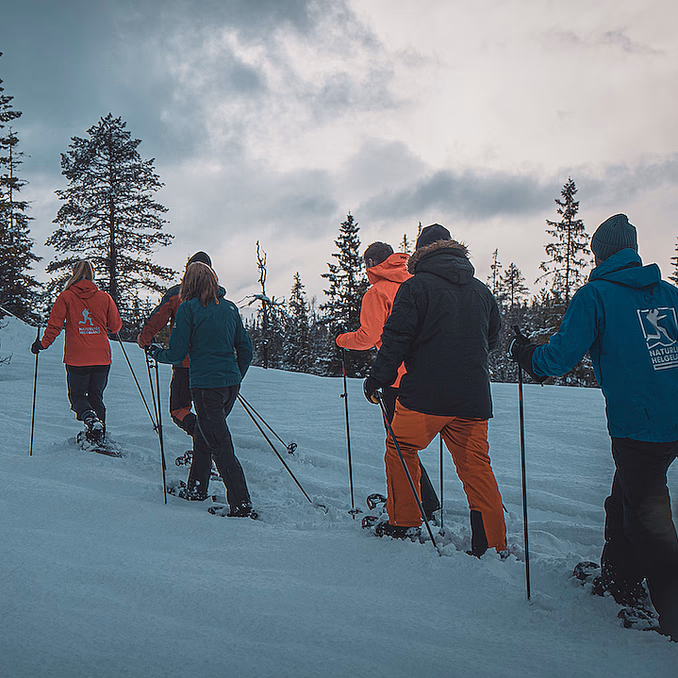Guidet trugetur